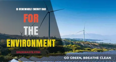Renewable Energy's Environmental Impact: Debunking Myths and Uncovering Truths