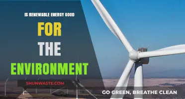Renewable Energy's Environmental Impact: Benefits, Challenges, and Sustainable Future