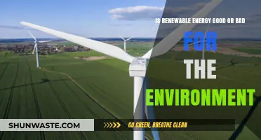 Renewable Energy: Environmental Savior or Hidden Ecological Challenge?
