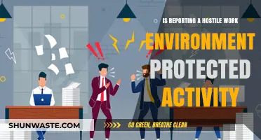 Reporting Hostile Work Environments: Protected Activity or Risky Move?