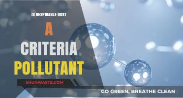 Respirable Dust: Is It a Criteria Air Pollutant?