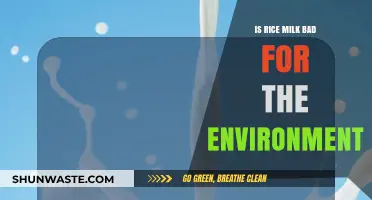 Rice Milk's Environmental Impact: Sustainable Choice or Eco-Friendly Myth?