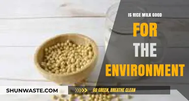 Rice Milk's Eco-Impact: Sustainable Choice or Environmental Concern?