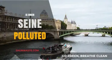 The Seine's Pollution Problem: Is It Getting Better?