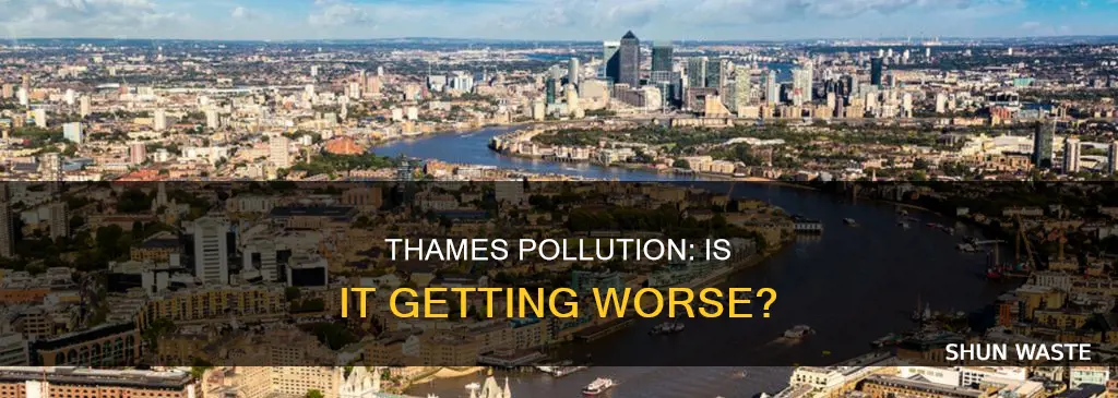 is river thames polluted