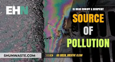 Road Runoff: A Complex Nonpoint Source of Pollution