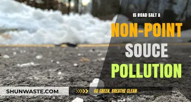 How Road Salt Contributes to Non-Point Source Pollution