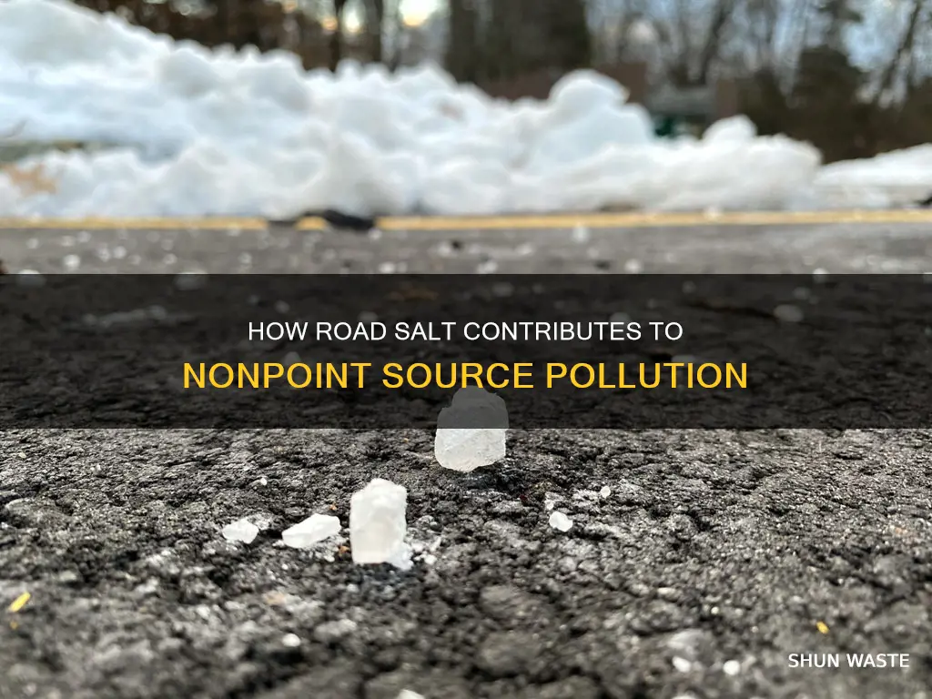 is road salt nonpoint source pollution