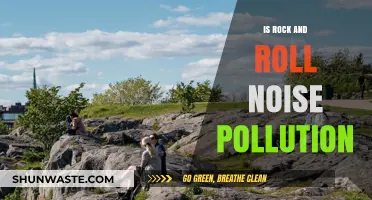 Rock and Roll: Music or Noise Pollution?