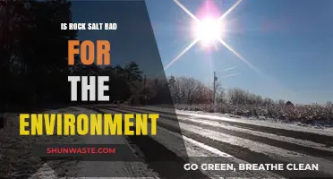 Rock Salt's Environmental Impact: Harmful Effects and Sustainable Alternatives