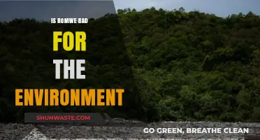 Is Romwe Harming Our Planet? Uncovering Its Environmental Impact