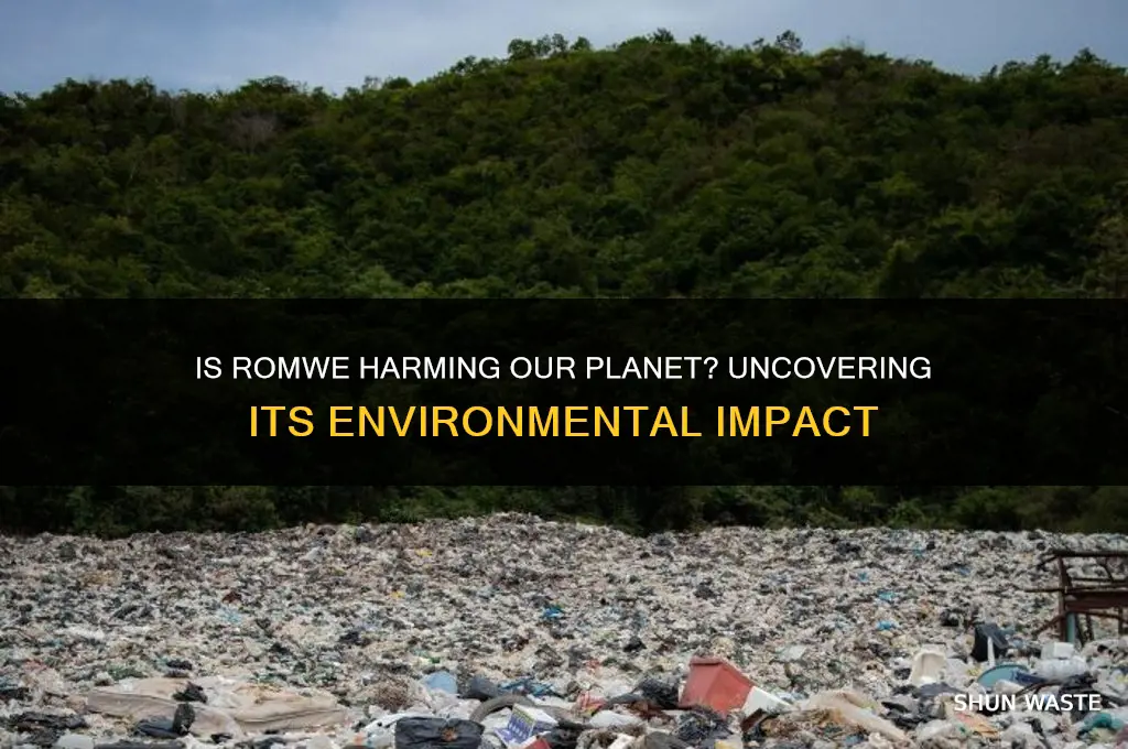 is romwe bad for the environment