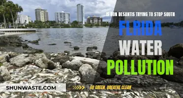 Ron DeSantis' Water Pollution Fight: South Florida's Future at Stake