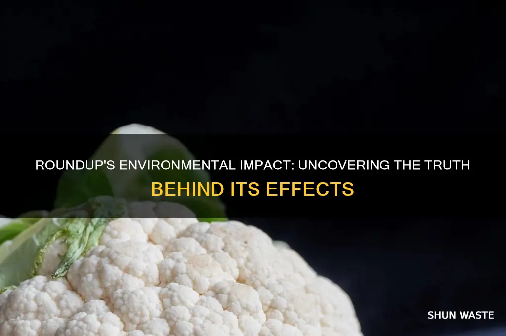 is round up bad for the environment