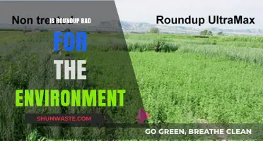 Is Roundup Harmful? Environmental Impact and Ecological Concerns Explored