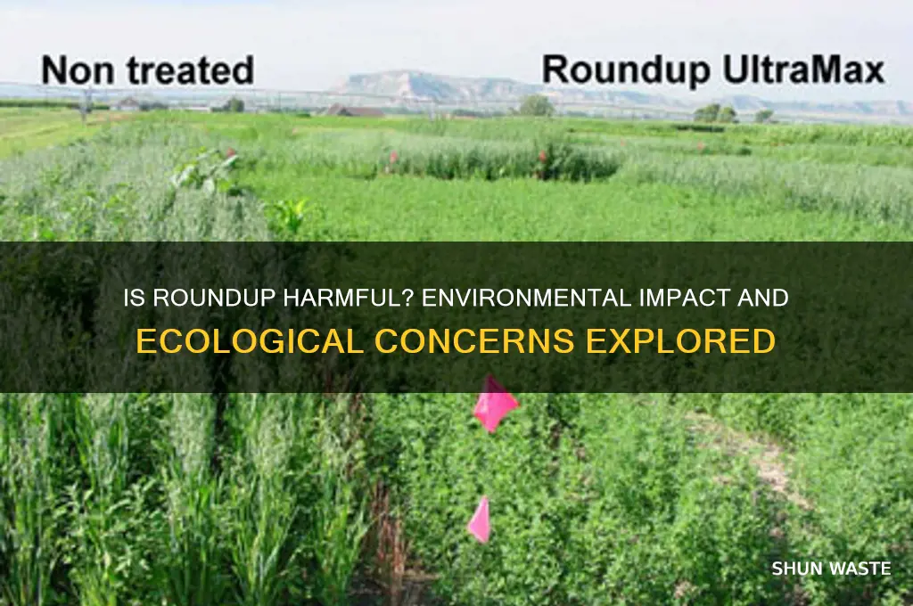 is roundup bad for the environment