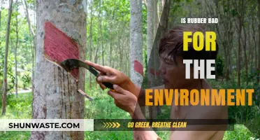 Rubber's Environmental Impact: Sustainable Solutions or Ecological Disaster?