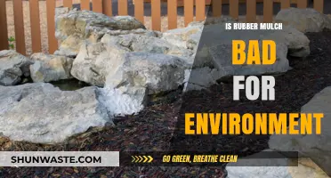 Is Rubber Mulch Eco-Friendly? Environmental Impact and Concerns Explained