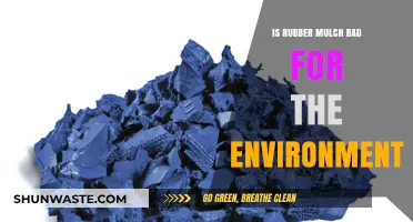 Rubber Mulch Environmental Impact: Benefits vs. Ecological Concerns Explored