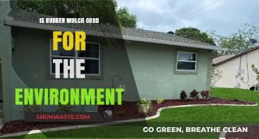 Eco-Friendly Landscaping: Is Rubber Mulch a Sustainable Choice?