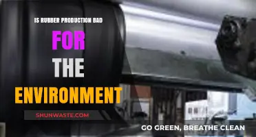 Rubber Production's Environmental Impact: Sustainable Practices vs. Ecological Harm