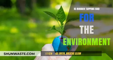 Is Rubber Tapping Eco-Friendly? Environmental Impacts Explained