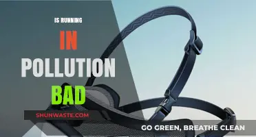 Running in Pollution: Is it Risky?