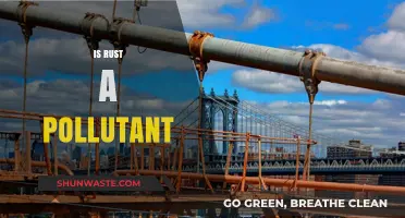 Rust: Pollutant or Natural Process?