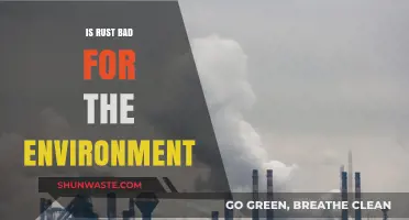 Rust's Environmental Impact: Harmful or Harmless to Our Planet?
