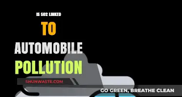 Vehicle Pollution: SO2's Impact on Our Health