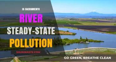 Sacramento River: Pollution's Steady State?