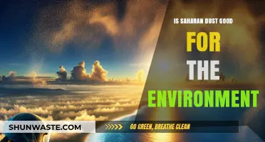Saharan Dust: Environmental Boon or Bane? Unveiling Its Ecological Impact