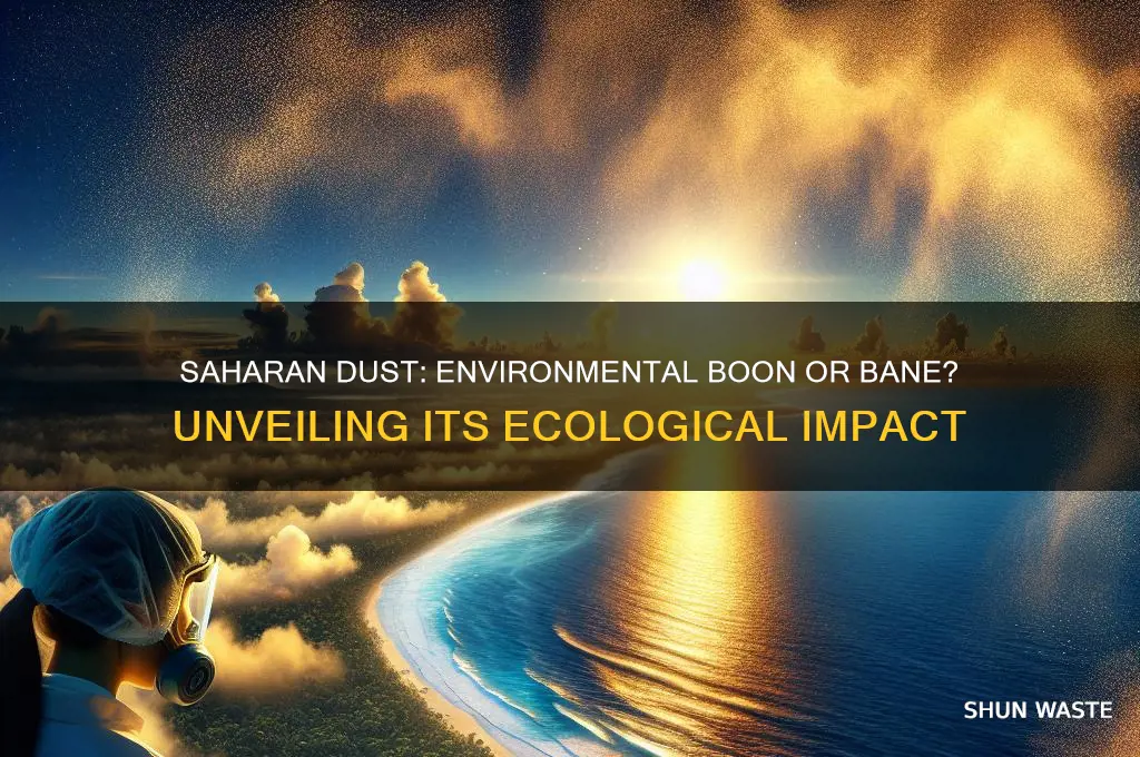 is saharan dust good for the environment