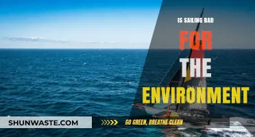 Sailing's Environmental Impact: Sustainable Practice or Ecological Threat?