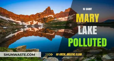 Saint Mary Lake: Pollution and Its Impact