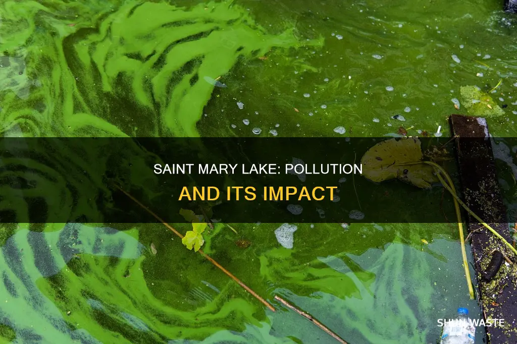 is saint mary lake polluted