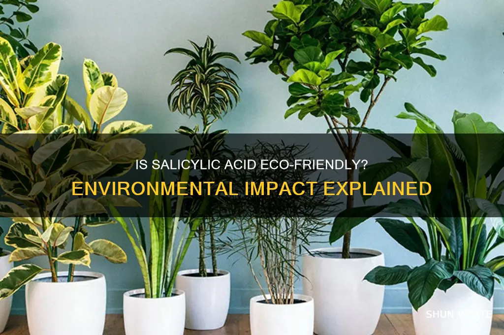 is salicylic acid bad for the environment