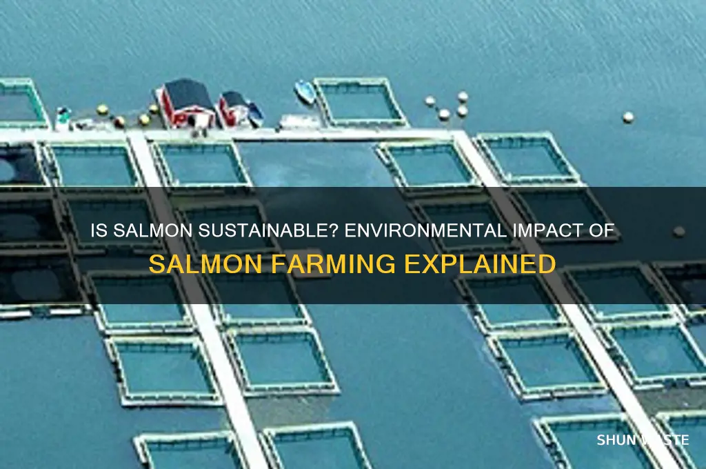 is salmon bad for the environment