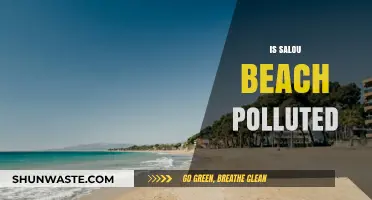 Salou Beach: A Pristine or Polluted Paradise?