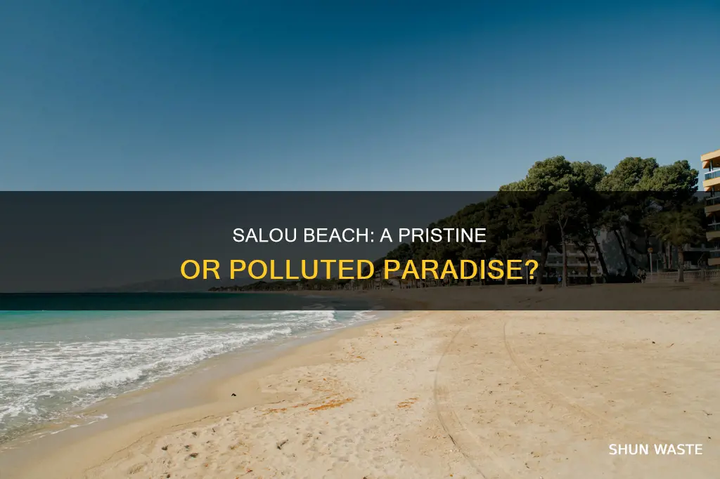 is salou beach polluted