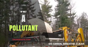 Salt: Friend or Foe to the Environment?