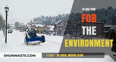 Salt's Environmental Impact: Uncovering the Hidden Costs of a Common Mineral