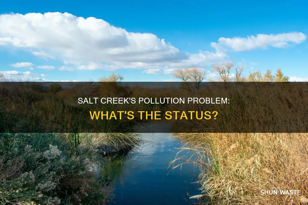 is salt creek polluted