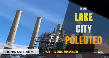 Salt Lake City's Pollution Problem