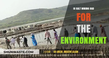 Environmental Impact of Salt Mining: Sustainable Practices or Ecological Harm?