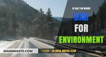 Road Salt's Environmental Impact: Harmful Effects and Sustainable Alternatives