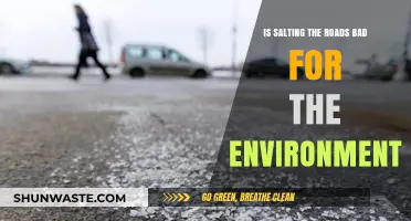 Environmental Impact of Road Salting: Balancing Safety and Ecology