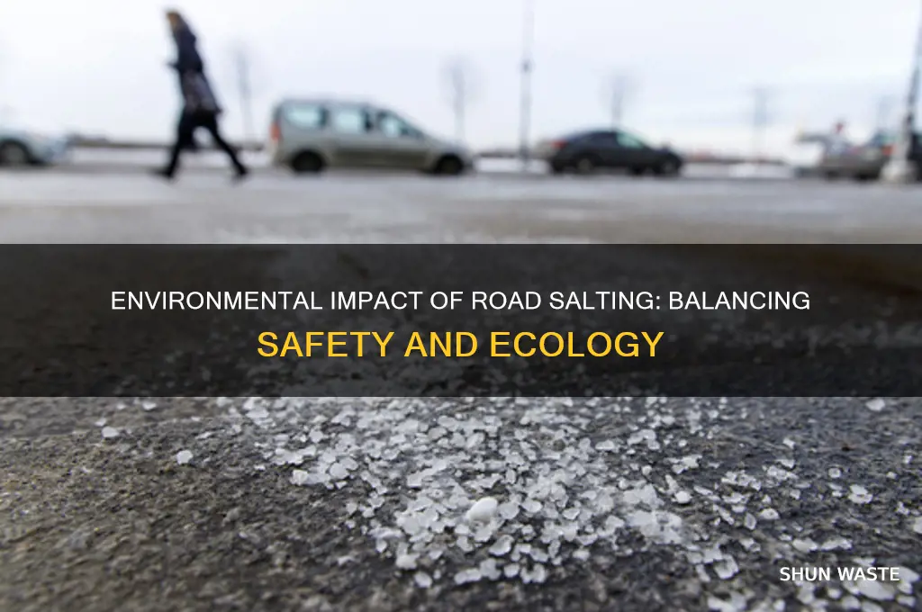 is salting the roads bad for the environment