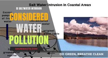 Saltwater Intrusion: A Form of Water Pollution or a Natural Phenomenon?