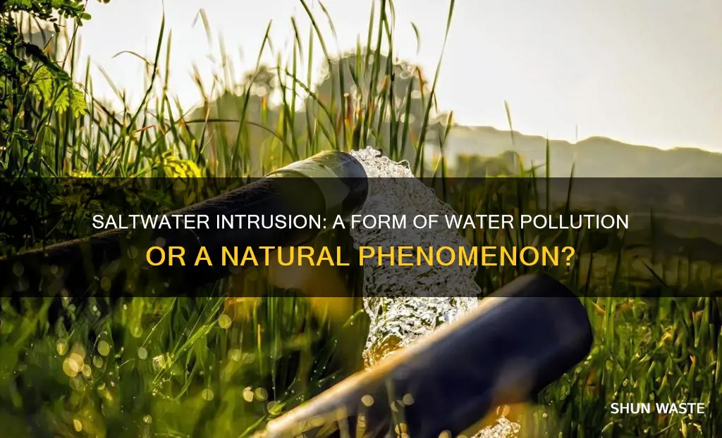 is saltwater intrusion considered water pollution